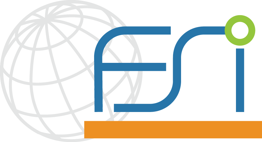 FSI logo (no copy)